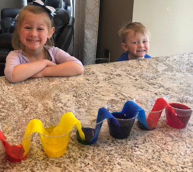 Example of what the walking water experiment looks like, the colored water travels from the cup through the paper towel and combines with the colored water from the other cup to make secondary colors.